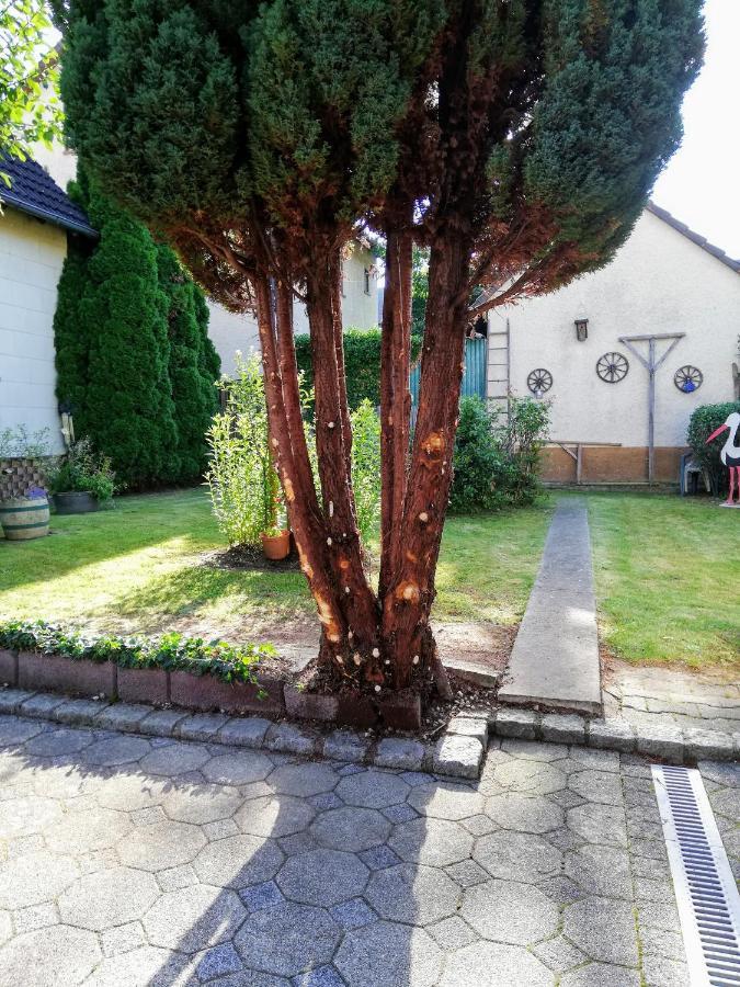 Ferienappartement Obrigheim Mosbach  Dış mekan fotoğraf