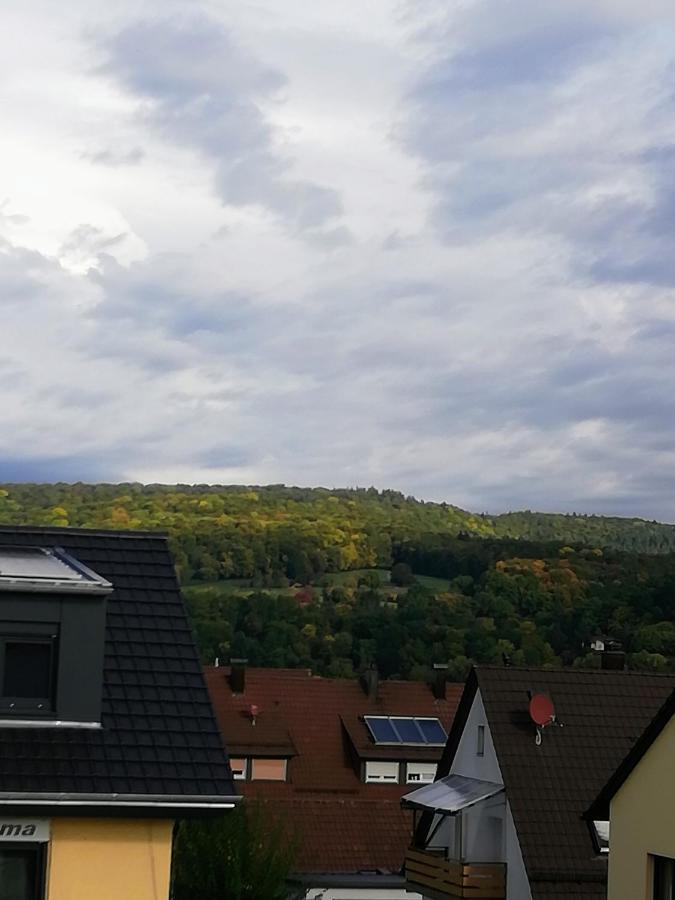 Ferienappartement Obrigheim Mosbach  Dış mekan fotoğraf