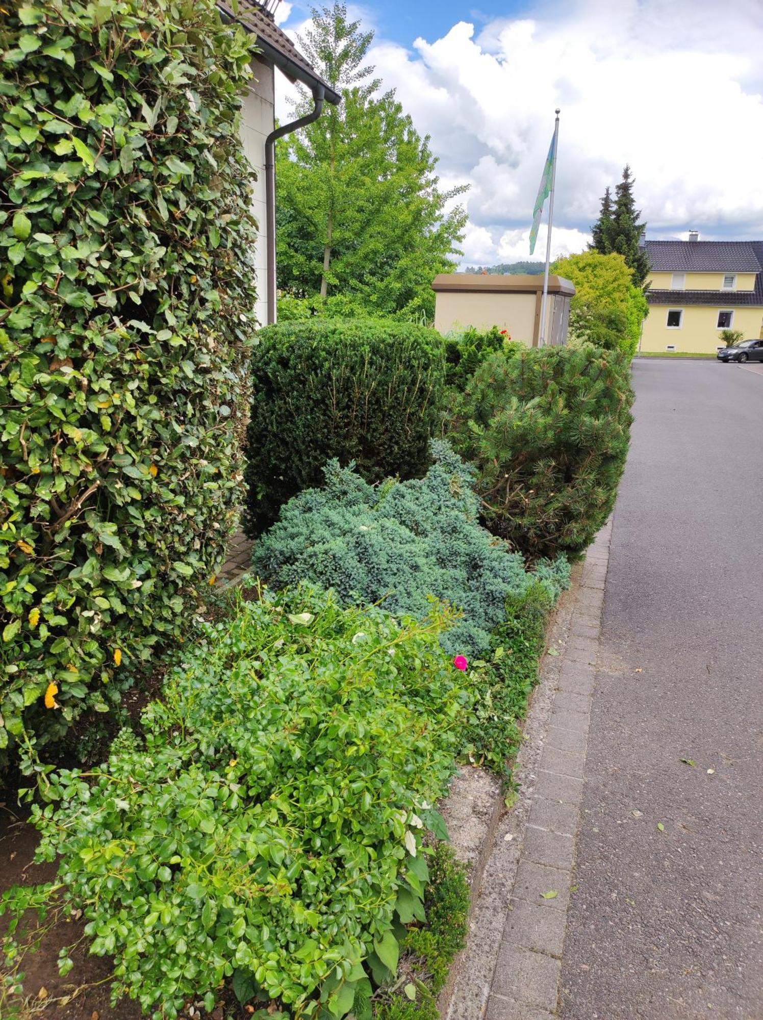 Ferienappartement Obrigheim Mosbach  Dış mekan fotoğraf