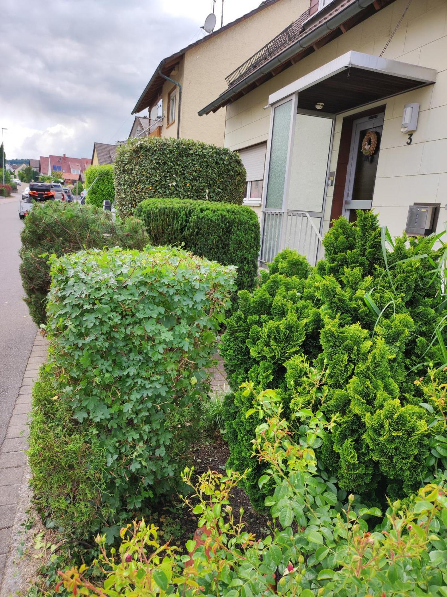 Ferienappartement Obrigheim Mosbach  Dış mekan fotoğraf