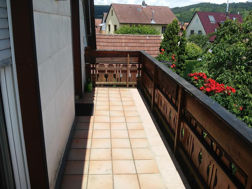 Ferienappartement Obrigheim Mosbach  Dış mekan fotoğraf